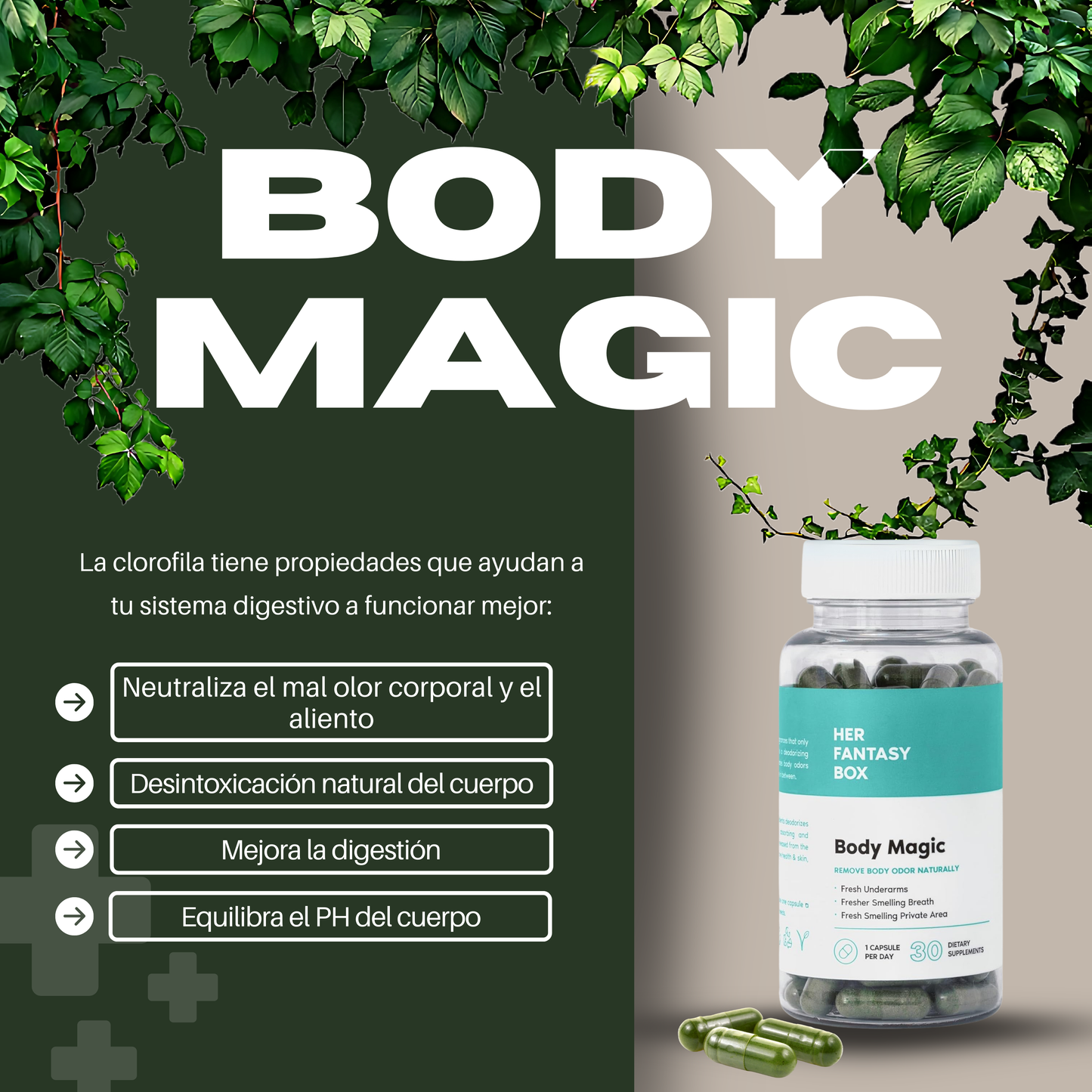 Clorofila - Body Magic